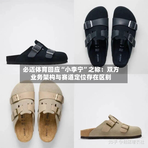 必迈体育回应“小李宁”之称：双方业务架构与赛道定位存在区别-第2张图片
