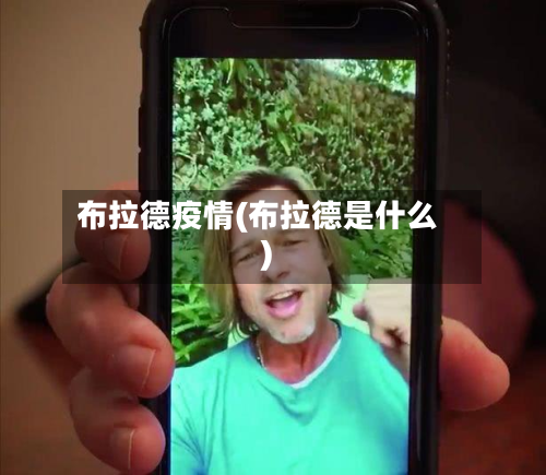 布拉德疫情(布拉德是什么)