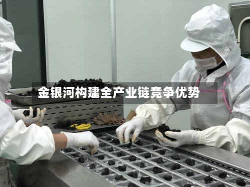 金银河构建全产业链竞争优势