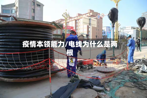 疫情本领能力/电线为什么是两根