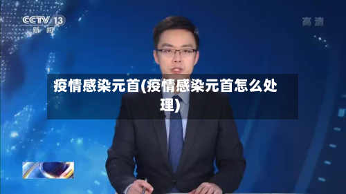 疫情感染元首(疫情感染元首怎么处理)-第2张图片
