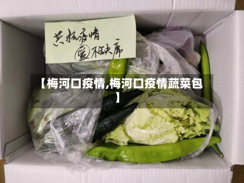 【梅河口疫情,梅河口疫情蔬菜包】-第2张图片