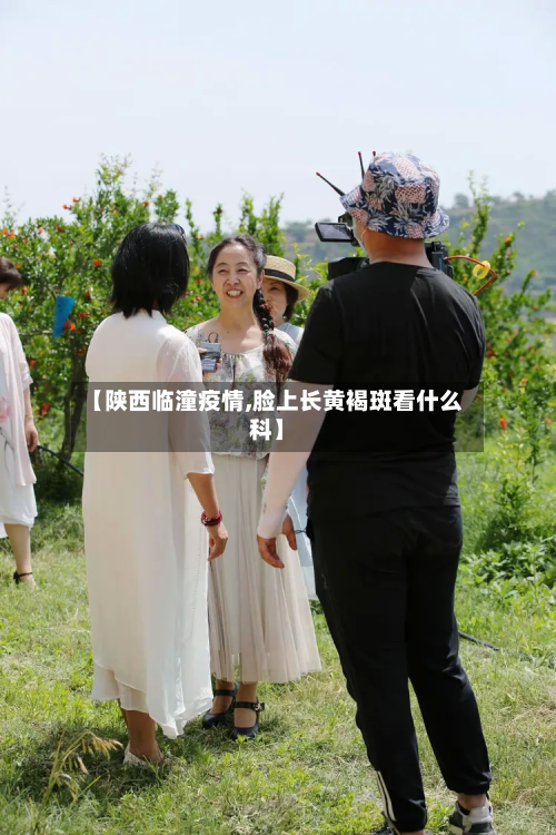 【陕西临潼疫情,脸上长黄褐斑看什么科】