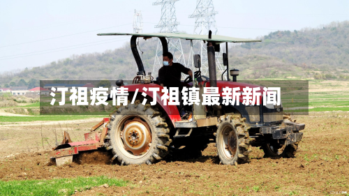 汀祖疫情/汀祖镇最新新闻