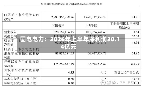 国电电力：2026年上半年净利润30.14亿元-第2张图片