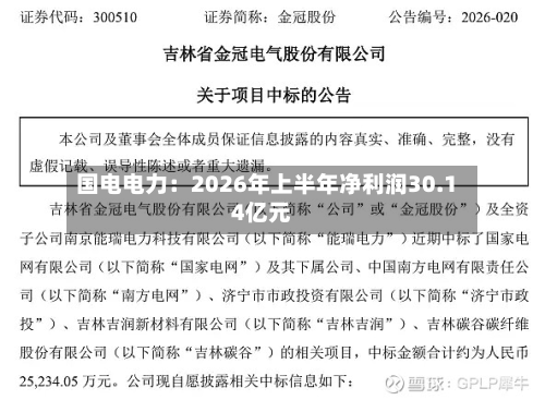 国电电力：2026年上半年净利润30.14亿元