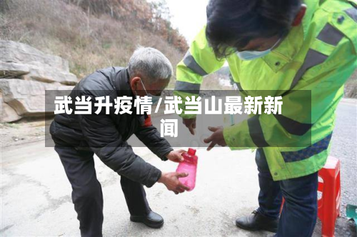 武当升疫情/武当山最新新闻-第2张图片
