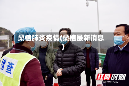桑植肺炎疫情(桑植最新消息)-第3张图片