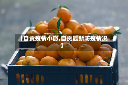 【自贡疫情小微,自贡最新防疫情况】-第2张图片