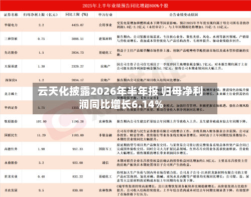 云天化披露2026年半年报 归母净利润同比增长6.14%-第1张图片