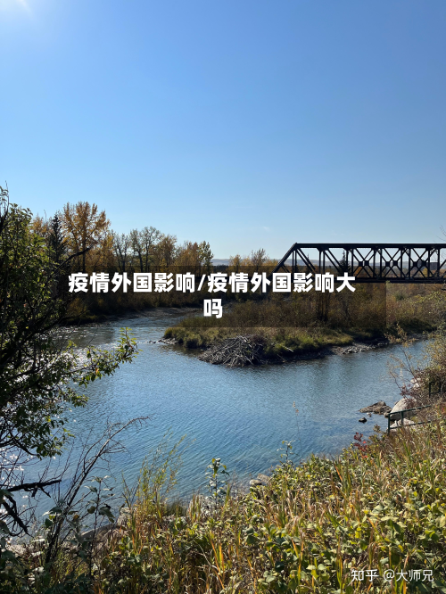 疫情外国影响/疫情外国影响大吗