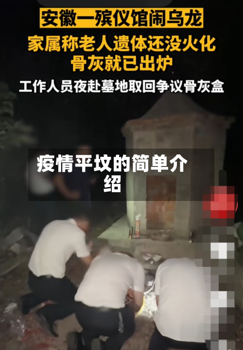 疫情平坟的简单介绍-第2张图片