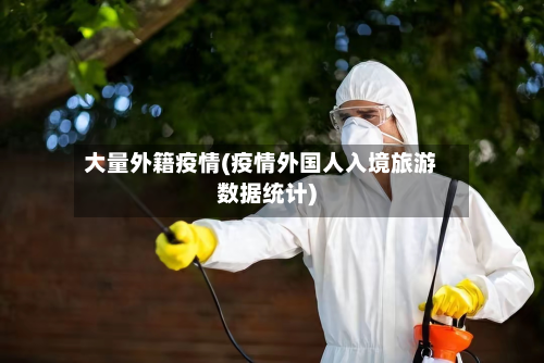 大量外籍疫情(疫情外国人入境旅游数据统计)-第3张图片