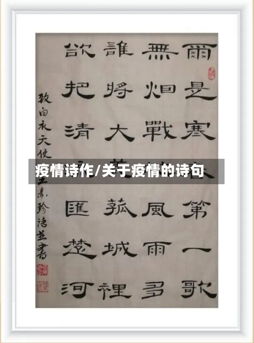 疫情诗作/关于疫情的诗句-第3张图片