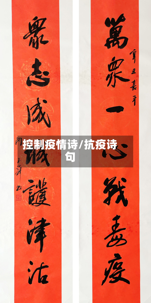 控制疫情诗/抗疫诗句
