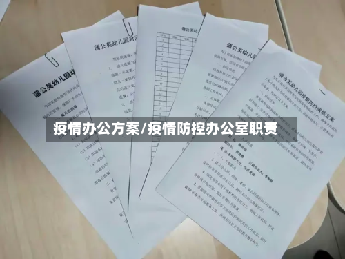疫情办公方案/疫情防控办公室职责-第3张图片