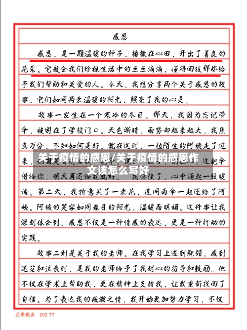 关于疫情的感恩/关于疫情的感恩作文该怎么写好-第2张图片