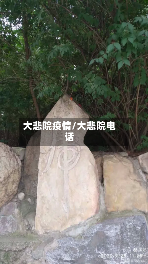 大悲院疫情/大悲院电话-第2张图片