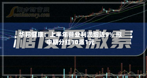 华邦健康：上半年营业利润增近9% 拟中期分红10派1元-第2张图片