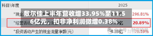 敷尔佳上半年营收增33.95%至11.56亿元，扣非净利润微增0.38%-第1张图片