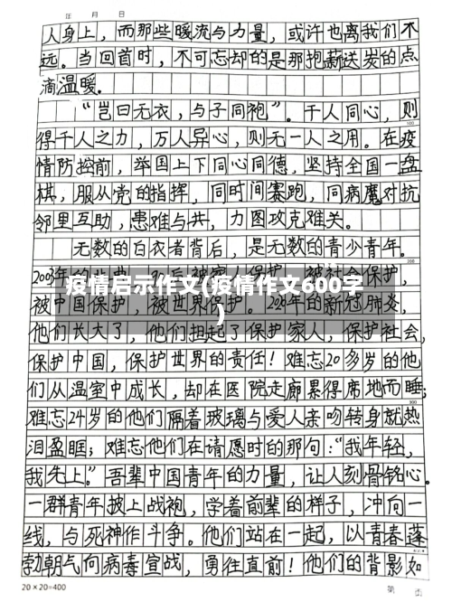 疫情启示作文(疫情作文600字)