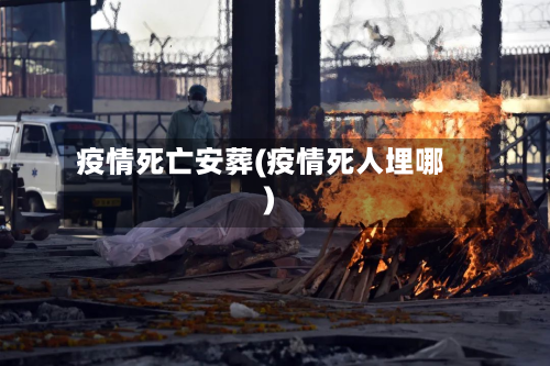 疫情死亡安葬(疫情死人埋哪)