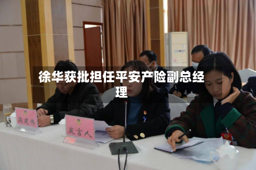徐华获批担任平安产险副总经理