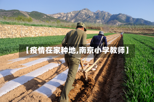 【疫情在家种地,南京小学教师】-第1张图片