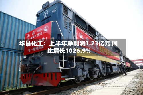 华昌化工：上半年净利润1.23亿元 同比增长1026.9%-第3张图片
