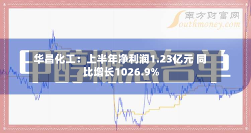 华昌化工：上半年净利润1.23亿元 同比增长1026.9%-第2张图片