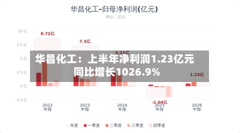 华昌化工：上半年净利润1.23亿元 同比增长1026.9%
