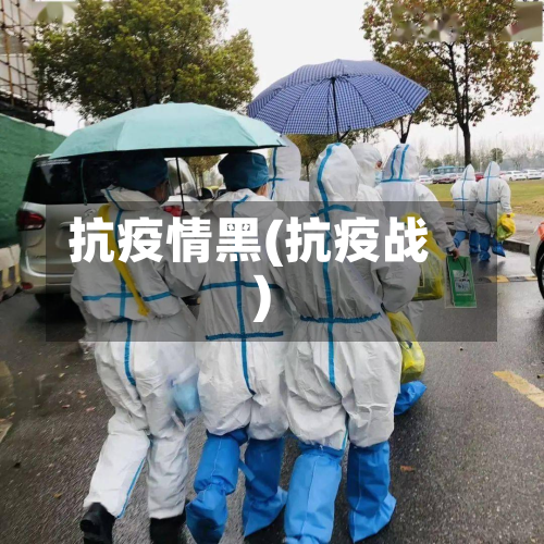 抗疫情黑(抗疫战)