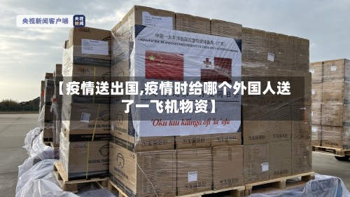 【疫情送出国,疫情时给哪个外国人送了一飞机物资】-第3张图片