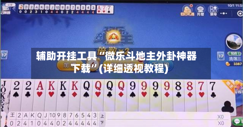 辅助开挂工具“微乐斗地主外卦神器下载”(详细透视教程)-第2张图片