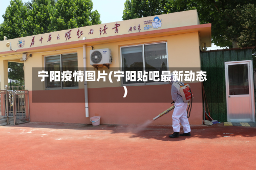宁阳疫情图片(宁阳贴吧最新动态)-第3张图片
