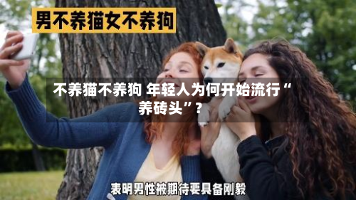 不养猫不养狗 年轻人为何开始流行“养砖头”？