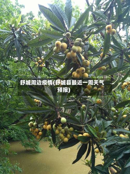 舒城周边疫情(舒城县最近一周天气预报)