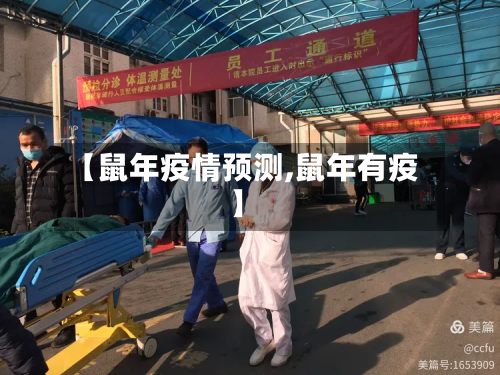 【鼠年疫情预测,鼠年有疫】-第2张图片