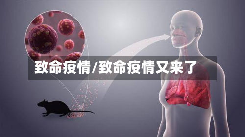 致命疫情/致命疫情又来了-第2张图片