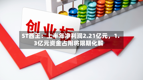 ST西王：上半年净利润2.21亿元，1.3亿元资金占用将限期化解-第2张图片