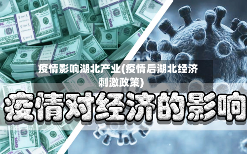疫情影响湖北产业(疫情后湖北经济刺激政策)-第2张图片