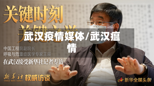 武汉疫情媒体/武汉瘟情