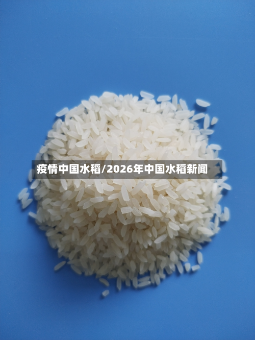 疫情中国水稻/2026年中国水稻新闻-第1张图片