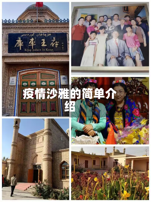 疫情沙雅的简单介绍-第1张图片
