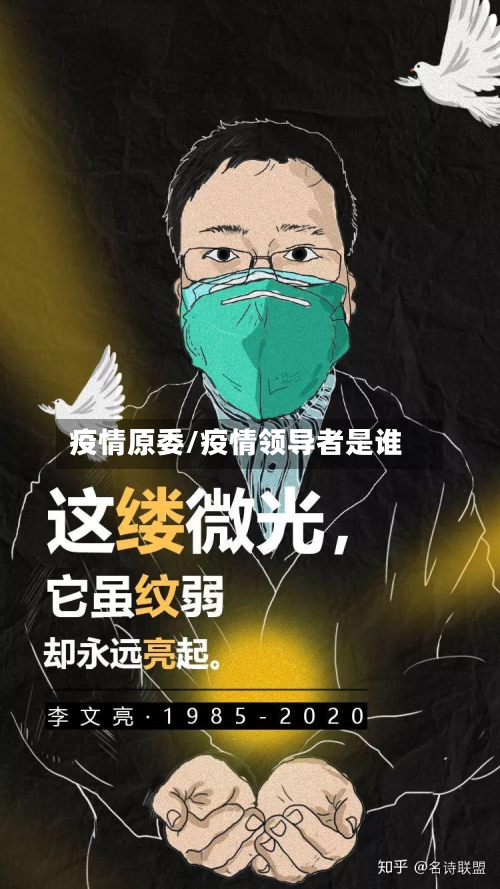 疫情原委/疫情领导者是谁