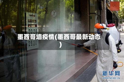 墨西哥墙疫情(墨西哥最新动态)-第2张图片
