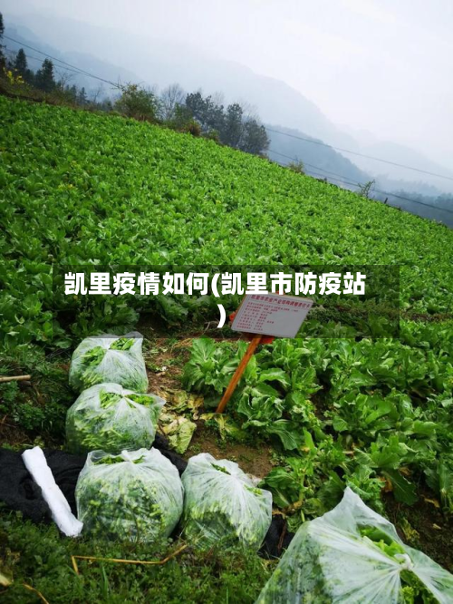 凯里疫情如何(凯里市防疫站)