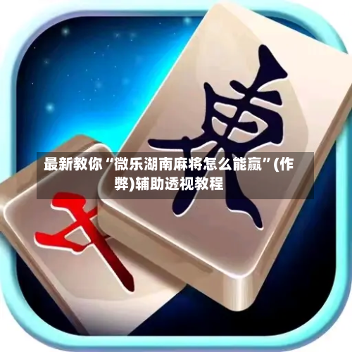 最新教你“微乐湖南麻将怎么能赢”(作弊)辅助透视教程