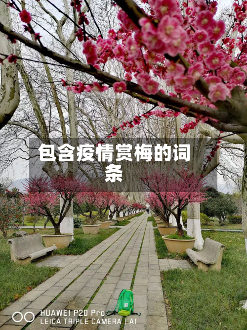包含疫情赏梅的词条-第2张图片