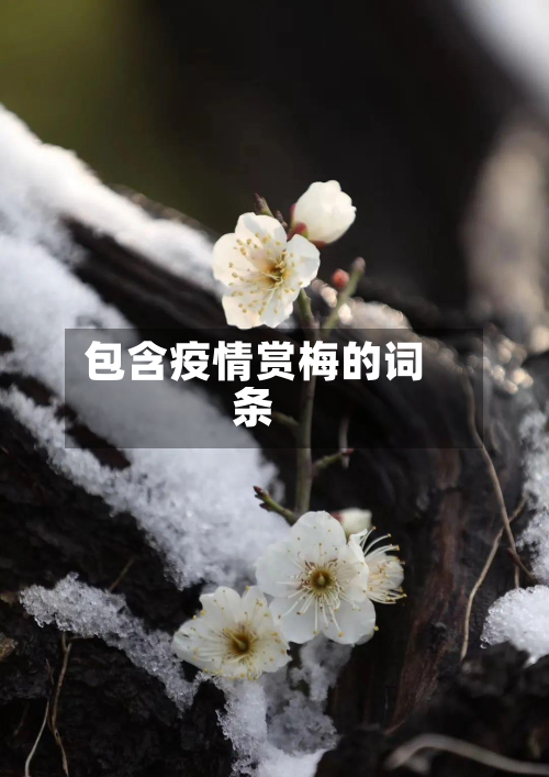 包含疫情赏梅的词条